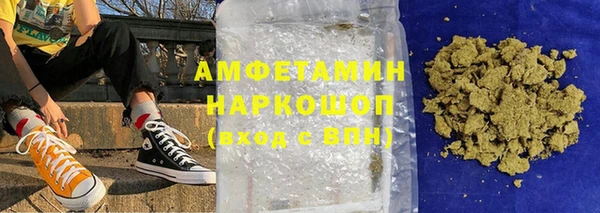 индика Бронницы